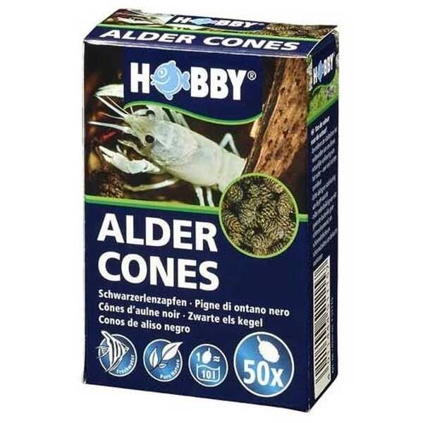 HOBBY Alder Cones/Erlenzapfen