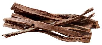 HOBBY Catappa Bark