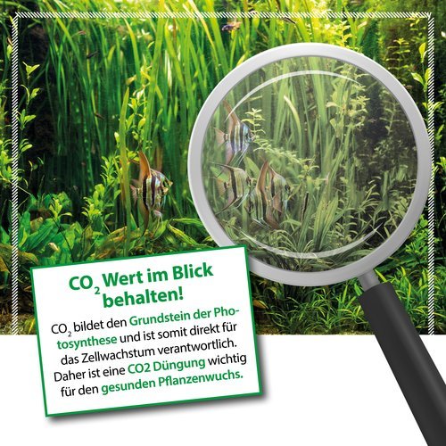 BIO-CO2 Flüssiger CO2-Dünger