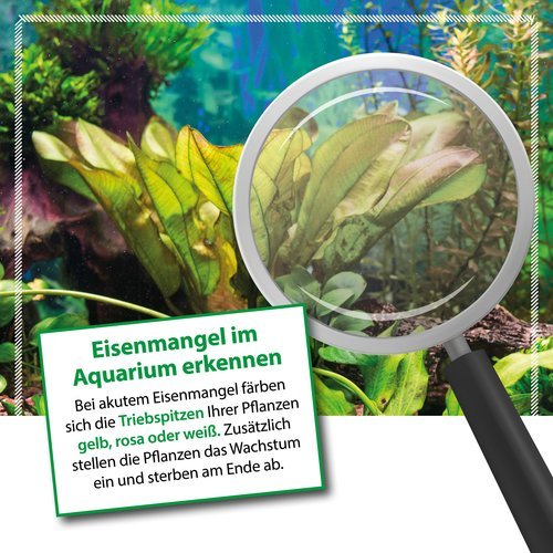 PLANTS FE Eisendünger 473ml