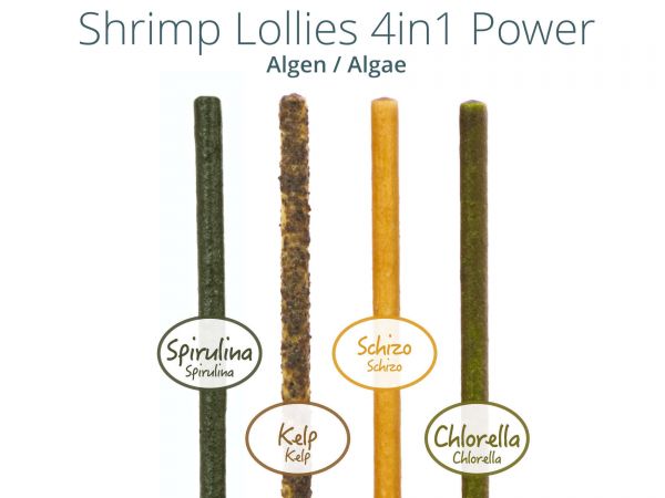 Shrimp Lollies – 4in1