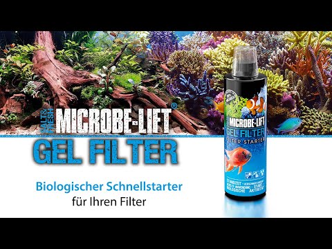 Gel Filter 118ml