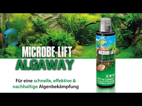 ALGAWAY Algenentferner 473ml